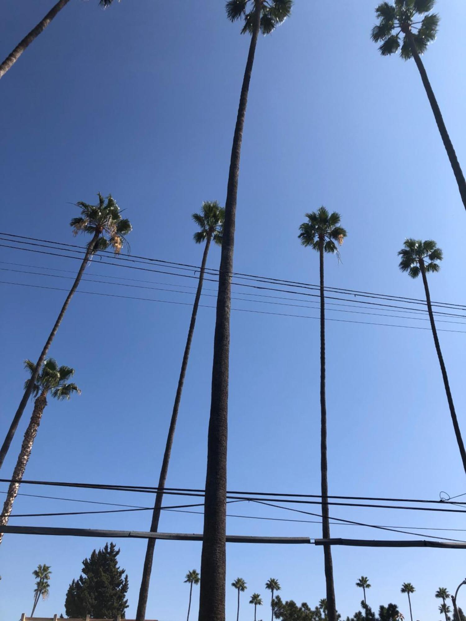 Hollywood Star Hostel Los Angeles Exterior photo